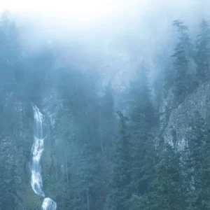 Wolves In The Throne Room/Diadem Of 12 Stars [LP] Popular