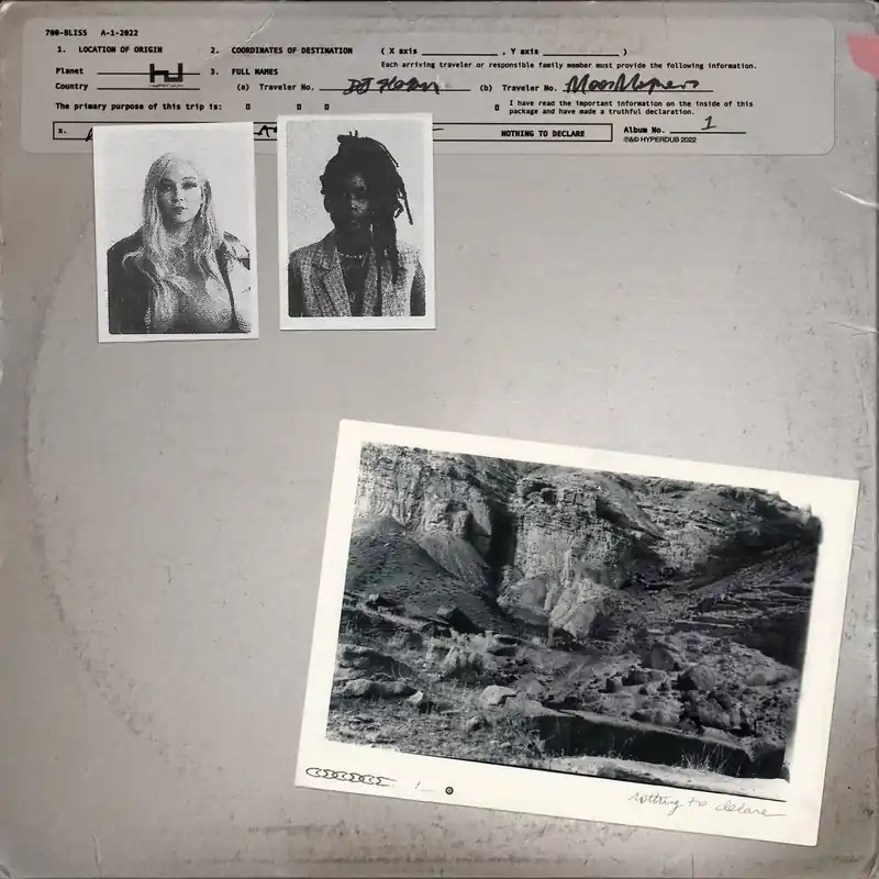 700 Bliss/Nothing To Declare (Moor Mother & DJ Haram) [LP] New Arrival