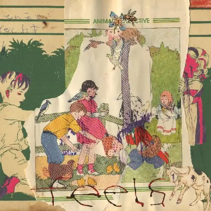 Animal Collective/Feels [LP] Premium