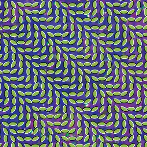 Animal Collective/Merriweather Post Pavilion (15th Ann. Translucent Gr Cheap