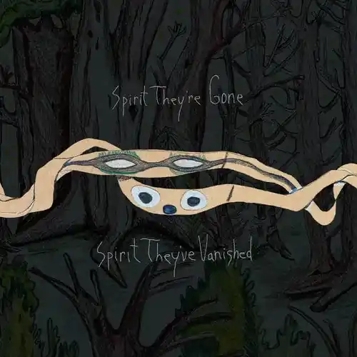Animal Collective/Spirit They're Gone, Spirit They've Vanished (Grass Deal
