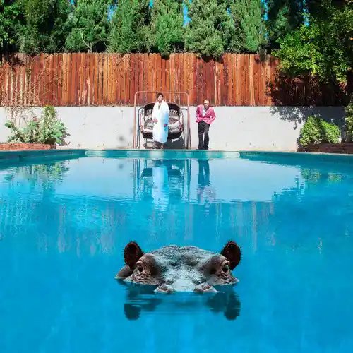 Sparks - Hippopotamus 2LP Next Day Delivery