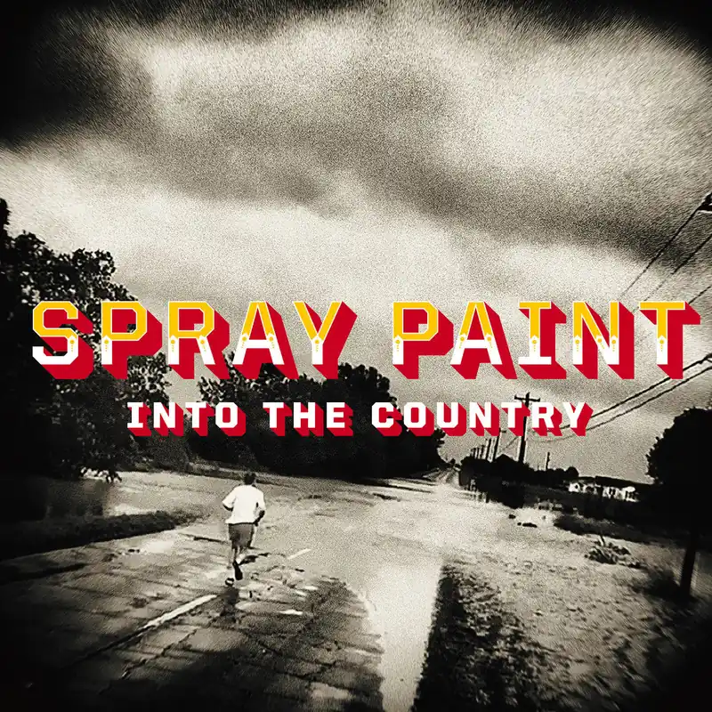 Buy Direct Spray Paint - Into the Country LP