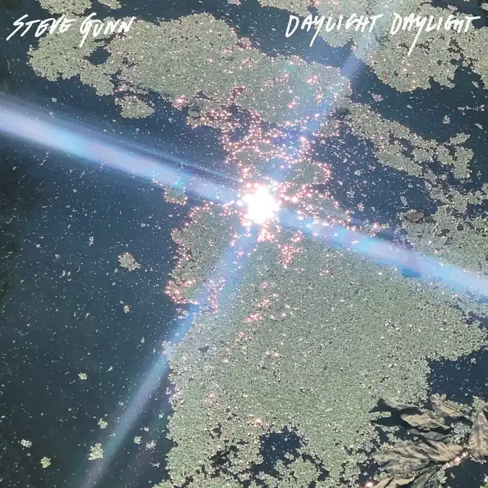 Best Choice Steve Gunn - Daylight Daylight LP