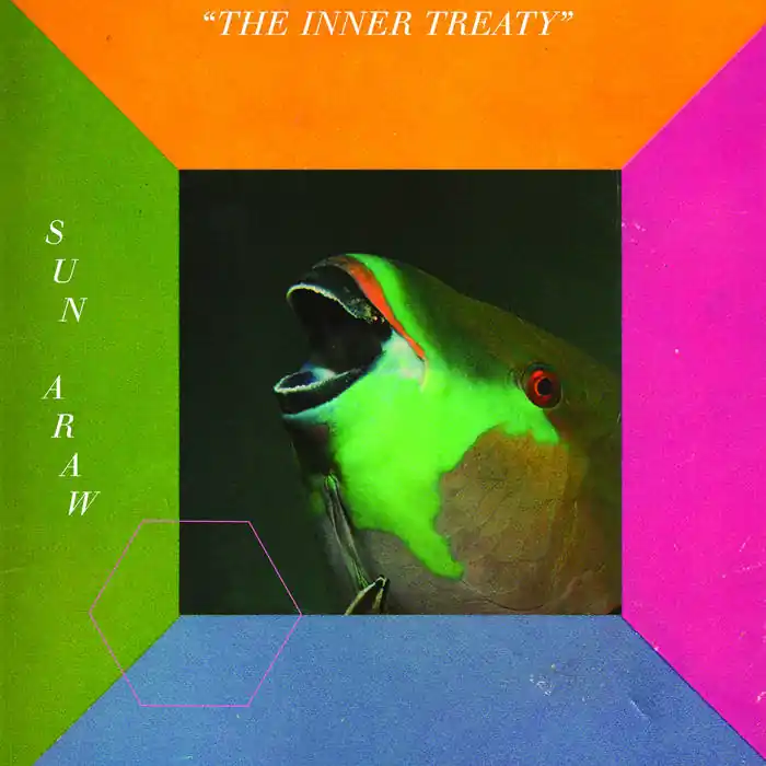 Clearance Sun Araw - The Inner Treaty LP