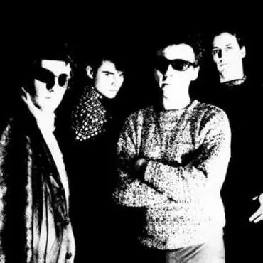 Hot Picks Television Personalities - The Painted Word LP