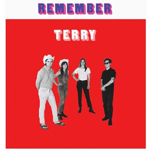 New Arrival Terry - Remember Terry LP