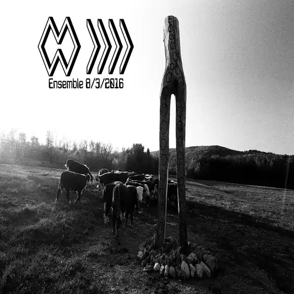 Certified The Band Whose Name Is A Symbol - Ensemble 8/3/2016 LP