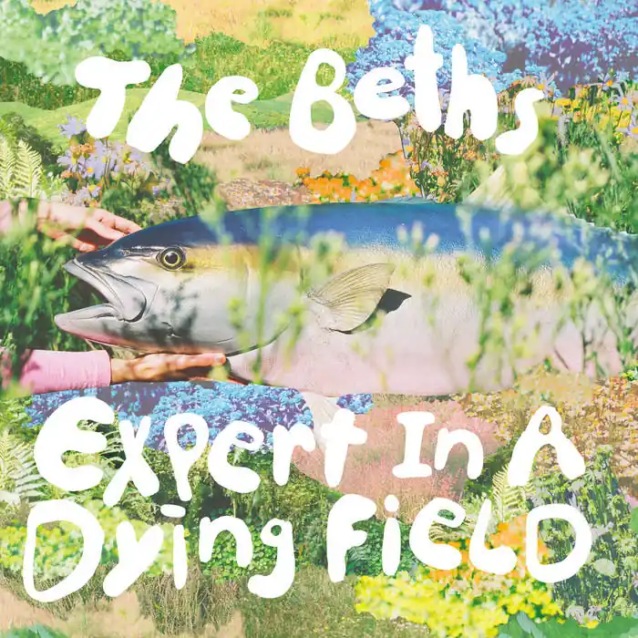 Buy Direct The Beths - Expert In A Dying Field LP