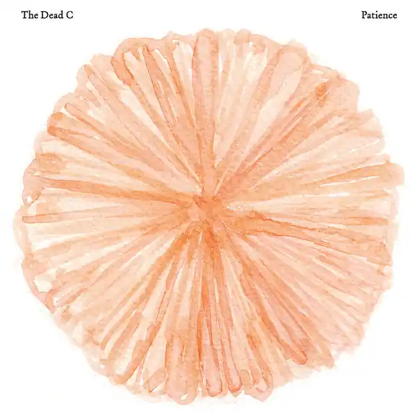 Warranty Included The Dead C - Patience LP