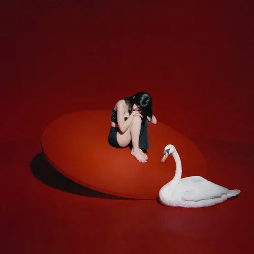 Warranty Included The Marias - Cinema LP