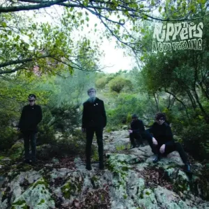 Fresh Stock The Rippers - A Gut Feeling LP