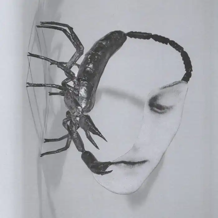 Bargain Tortoise - Touch LP