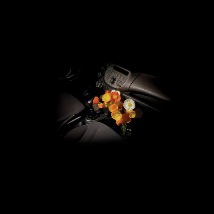 Cheap Verity Den - wet glass LP