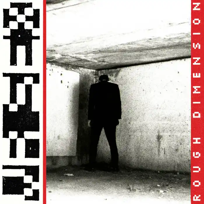 VR SEX - Rough Dimension LP Fan Favorite