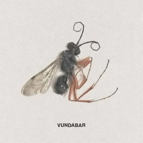 Weekend Sale Vundabar - Good Old LP