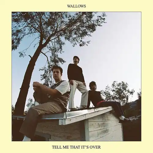 Wallows - Tell Me That It's Over LP Price Cut