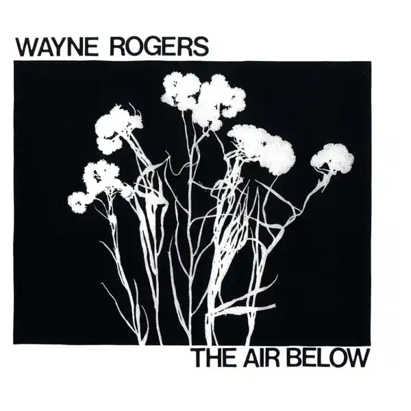 Wayne Rogers - The Air Below LP Best Price
