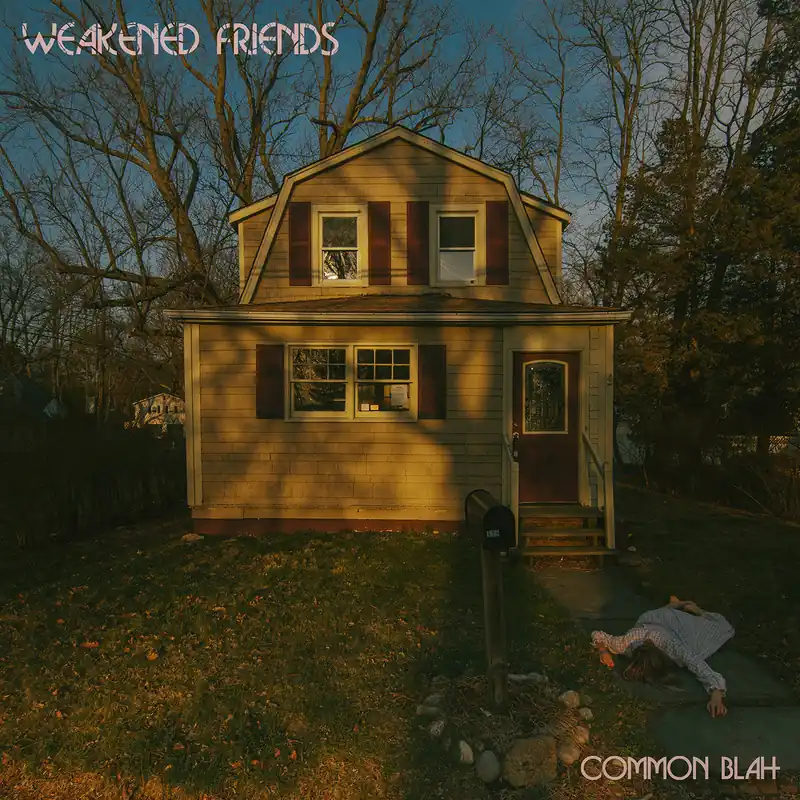 Weakened Friends - Common Blah LP Professional Grade