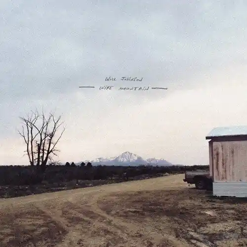 Bargain Will Johnson - Wire Mountain LP