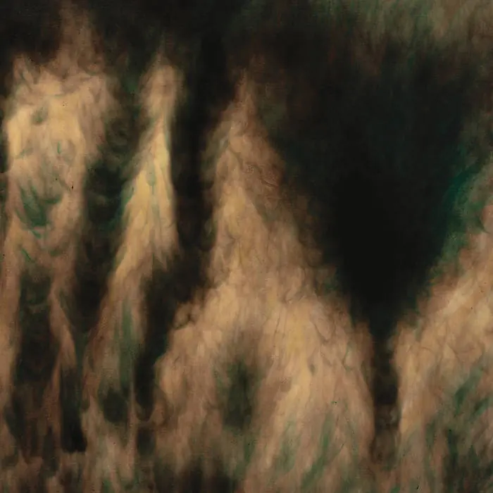 William Basinski - Lamentations 2LP Buy Today