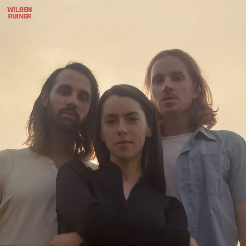 Wilsen - Ruiner LP Deal