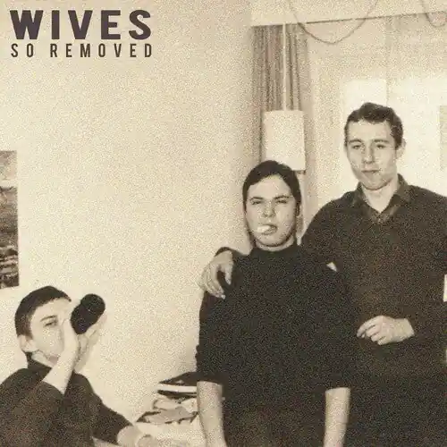 Best Price WIVES - So Removed LP