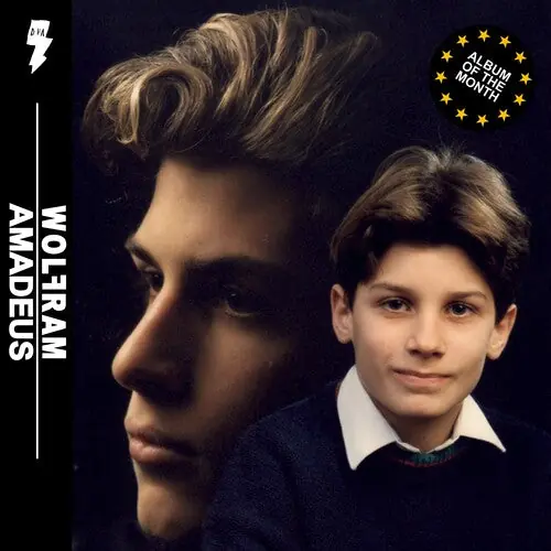 Wolfram - Amadeus LP Fast Shipping