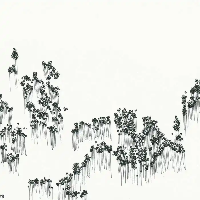 Wowflower - Balloons LP Buy Today
