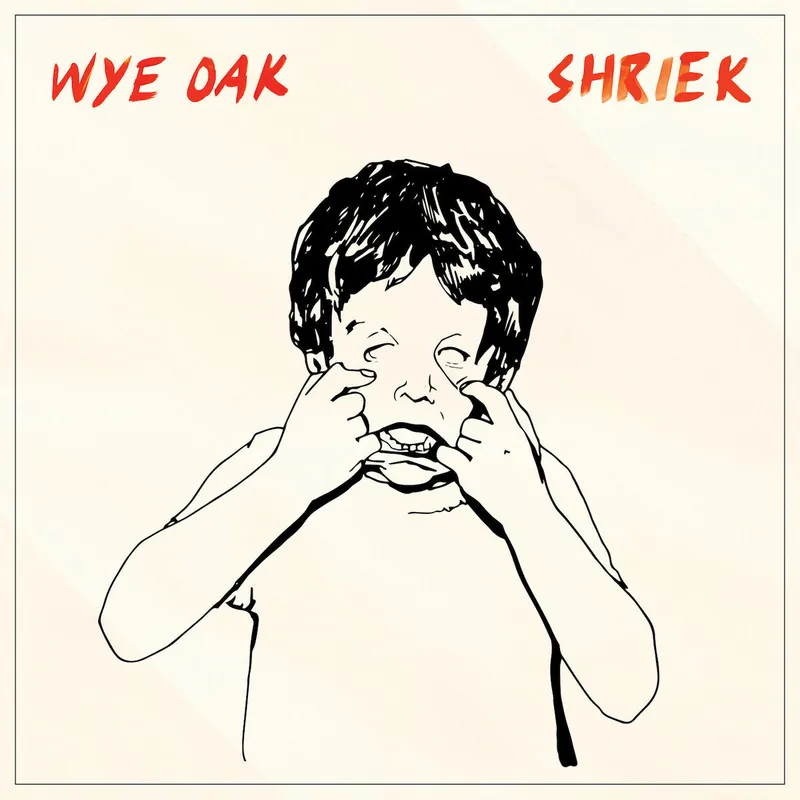 Wye Oak - Shriek LP Low Price