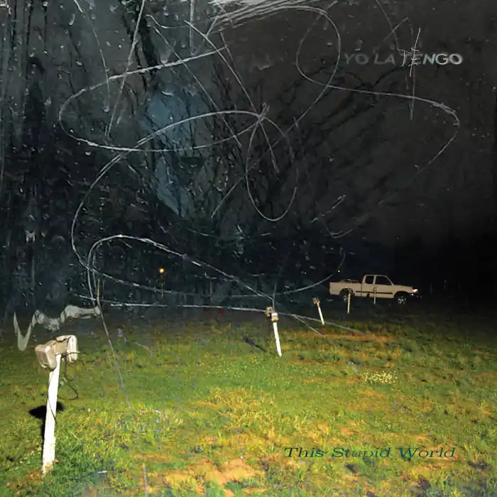 Yo La Tengo - This Stupid World 2LP / CD Certified