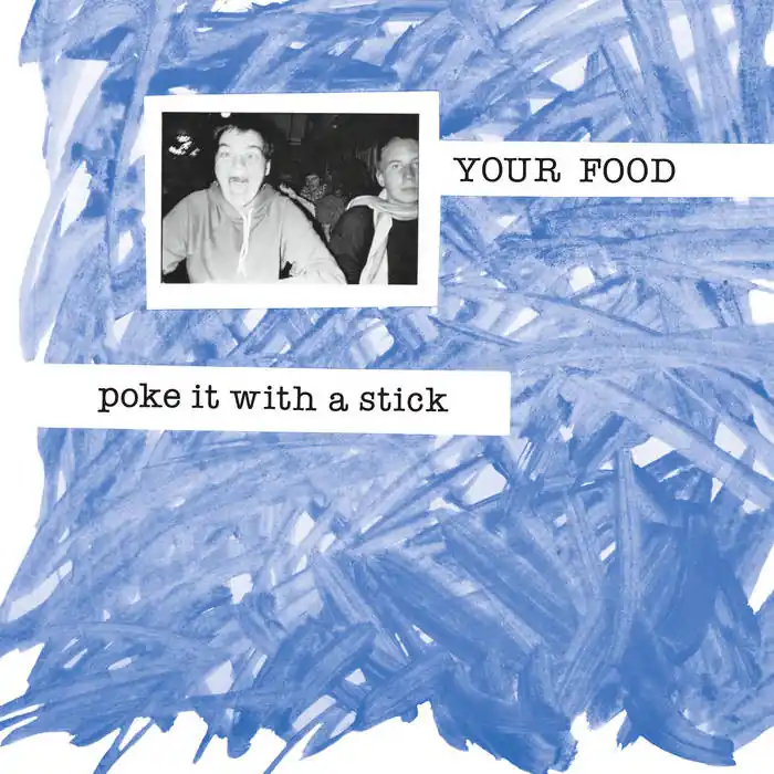 Your Food - Poke It with a Stick LP High Quality