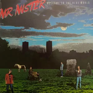 In Demand Mr. Mister