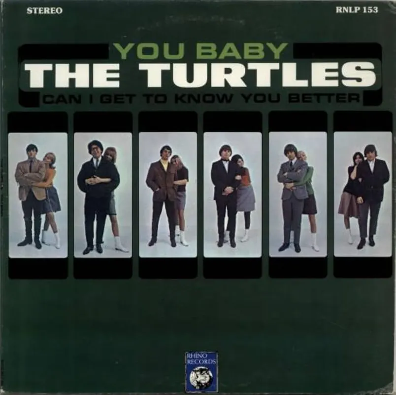 Turtles Big Sale