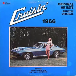 Various; Cruisin' 1966 (Troggs, Association, Chiffons) Warranty Included