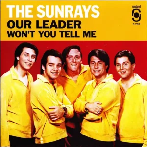 Sunrays Save Now