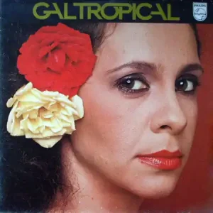 Affordable Gal Costa