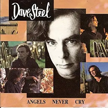 Secure Checkout Steel, Dave - Angels Never Cry [CD] [Second Hand]