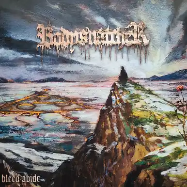 *USED* Bleed-Abide - Bodysnatcher (#480127216339) Affordable