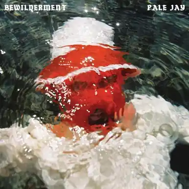 Bewilderment - Pale Jay (#674862663408) Same Day Shipping