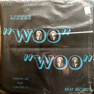 Today Only *USED* Everything Is Gonna Be All Right - Live - Little Woo Woo (#414742230661)