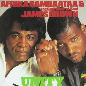 Sale *USED* Unity - Afrika Bambaataa; Brown, James (#4988009632124)