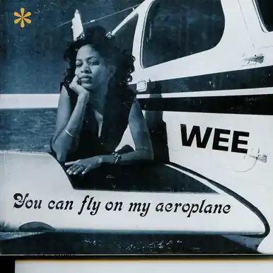 Save Now You Can Fly On My Aeroplane - Wee (#825764623513)