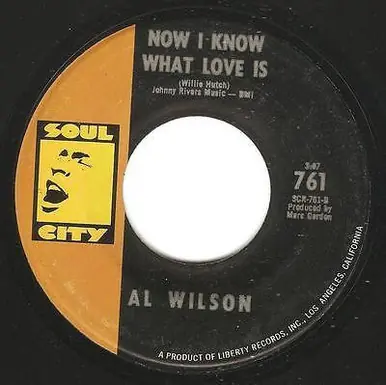 *USED* Do What You Gotta Do - Wilson, Al (#493042275756) Brand New