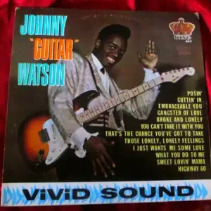 *USED* Johnny "Guitar" Watson - Johnny Guitar Watson (#403115542944) New Arrival