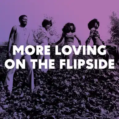 Trusted Brand More Loving On The Flipside: Sweet Funk & Beat-Hea - Various (#659457528256)