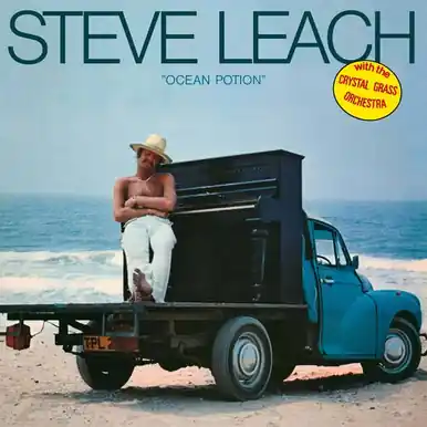 Ocean Potion - Leach, Steve / Crystal Grass Orchestra (#4251804182362) Popular