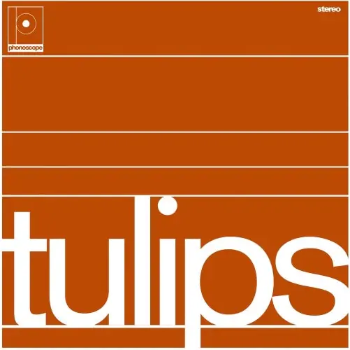 Tulips | Premium
