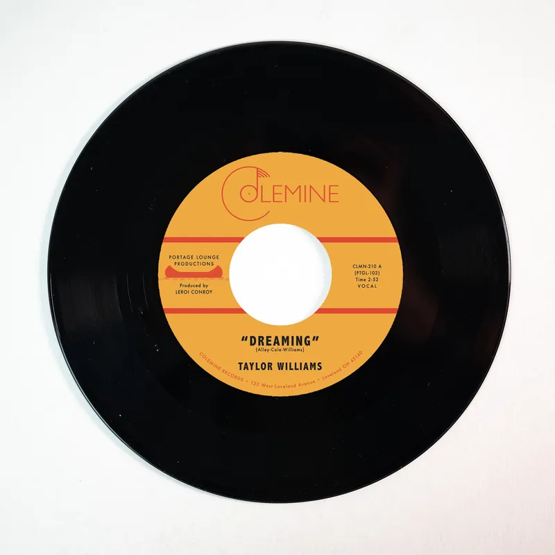 Fast Shipping (PRE-ORDER 11/14/25) Dreaming / What About Me? (VINYL 7") | Mint (M) M