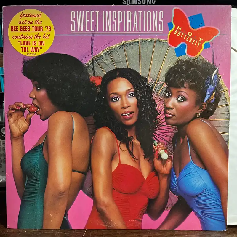 Hot Butterfly (VINYL) | Excellent (EX) Excellent+ (EX+) Affordable